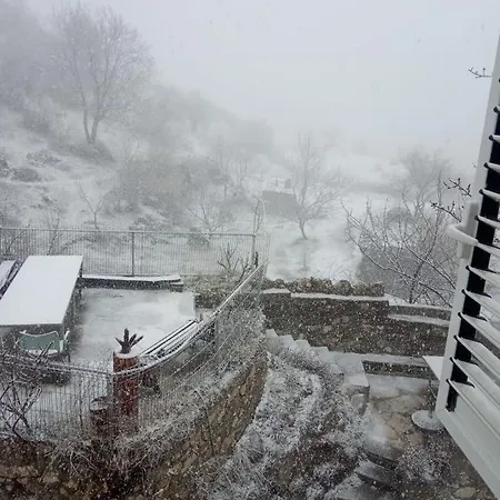 Apartment Tomorrow Ujanik