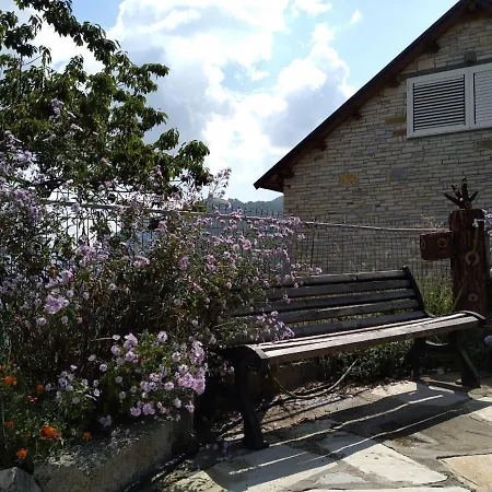 Tomorrow Apartment Ujanik