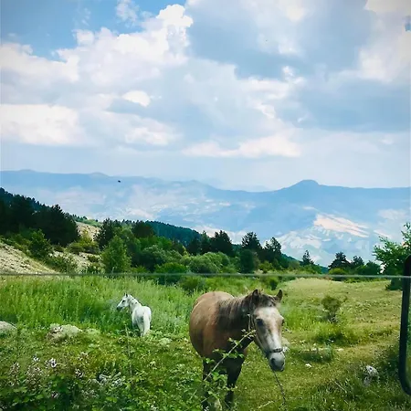 Apartment Tomorrow Ujanik