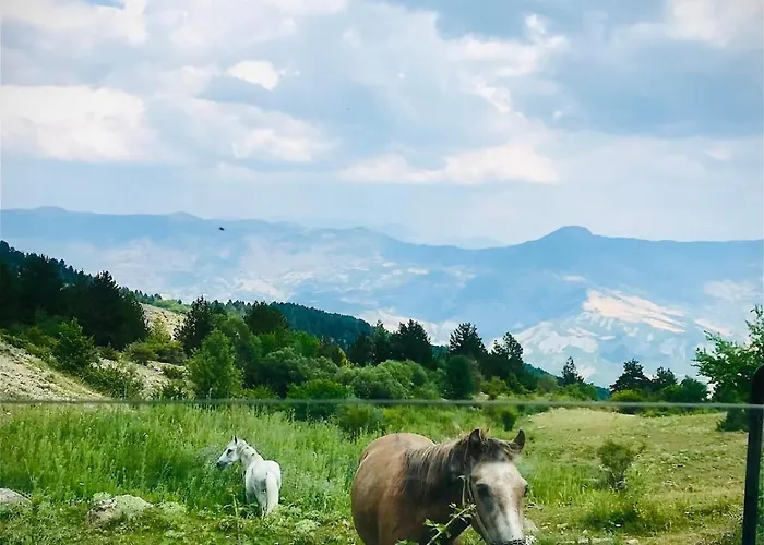 Apartament Tomorrow Ujanik