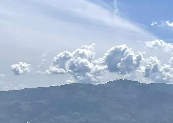 Apartament Tomorrow *